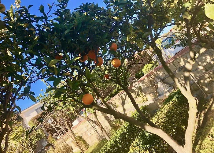 B&B Annetta Ercolano